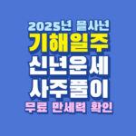 2025년 을사년 기해일주 신년 운세