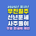 2025년 을사년 무진일주