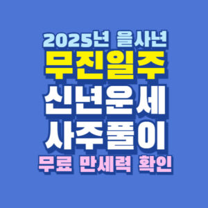 2025년 을사년 무진일주