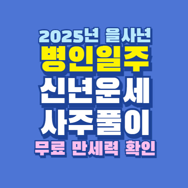 2025년 을사년 병인일주