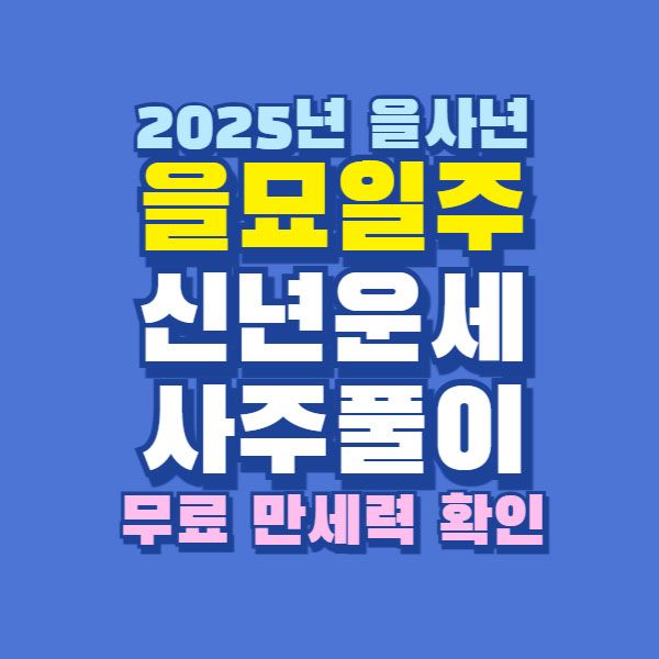 2025년 을사년 을묘일주 운세