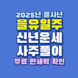 2025년 을사년 을유일주 신년 운세