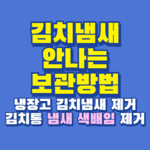 kimchi 김치 냄새 안나게 보관 방법