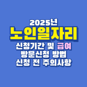 2025년 노인일자리 급여