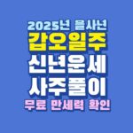 2025년 을사년 갑오일주