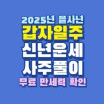 2025년 을사년 갑자일주