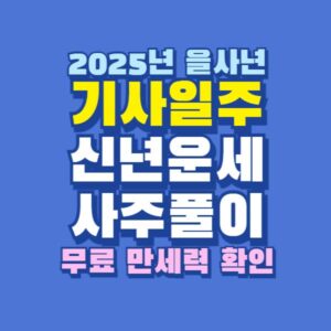 2025년 을사년 기사일주