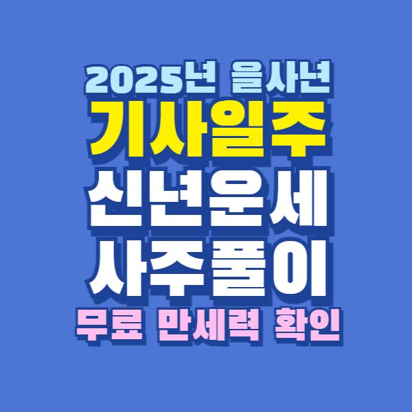 2025년 을사년 기사일주