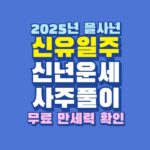 2025년 을사년 신유일주