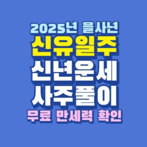 2025년 을사년 신유일주