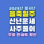 2025년 을사년 을축일주