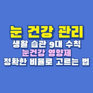 눈 건강 관리 영양제