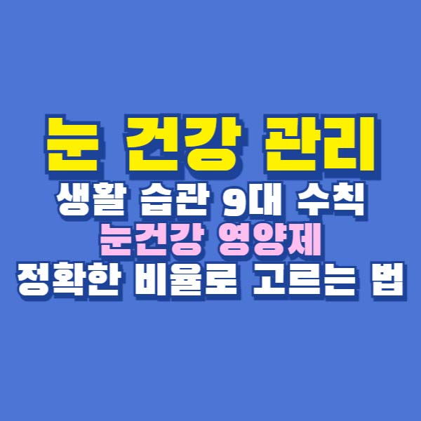 눈 건강 관리 영양제