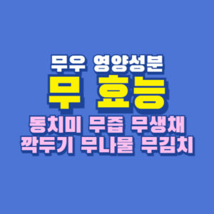 무 효능 김장