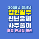 2025년 갑인일주 신년 운세 사주