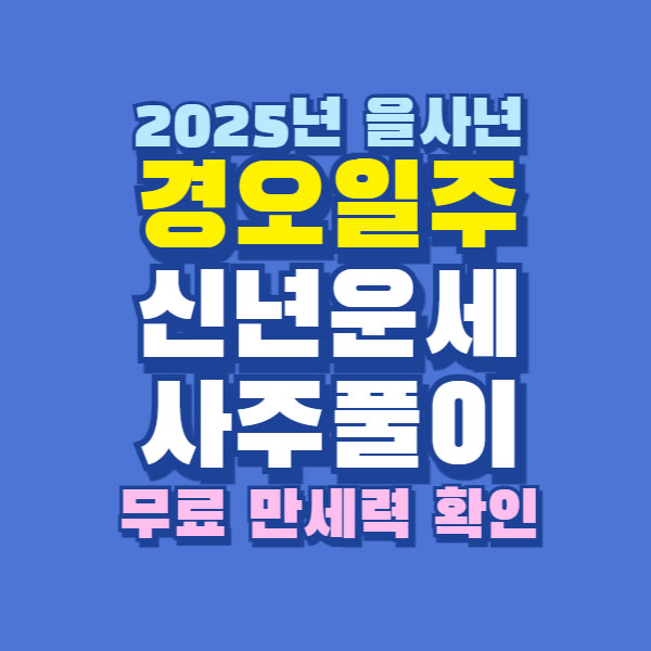 2025년 경오일주 신년 운세 사주