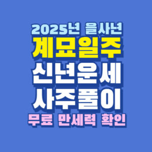 2025년 계묘일주 신년 운세 사주