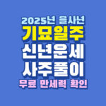 2025년 기묘일주 신년 운세 사주