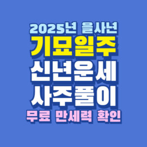 2025년 기묘일주 신년 운세 사주