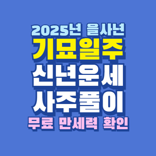 2025년 기묘일주 신년 운세 사주