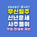 2025년 무신일주 신년 운세 사주