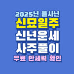 2025년 신묘일주 신년 운세 사주