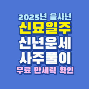 2025년 신묘일주 신년 운세 사주