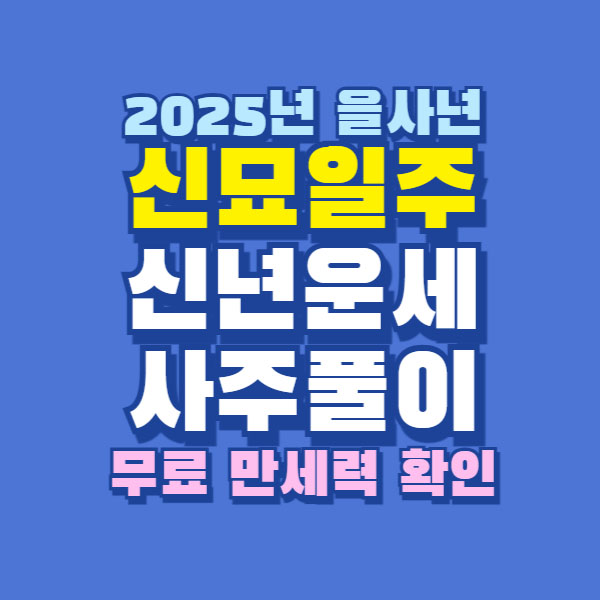 2025년 신묘일주 신년 운세 사주