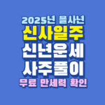 2025년 신사일주 신년 운세 사주