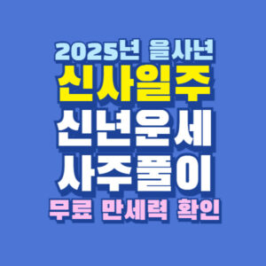 2025년 신사일주 신년 운세 사주