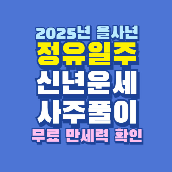 2025년 정유일주 신년 운세 사주