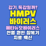 HMPV 메타뉴모바이러스