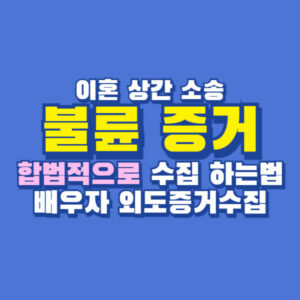 불륜 증거 외도 합법 탐정