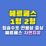 헤르페스