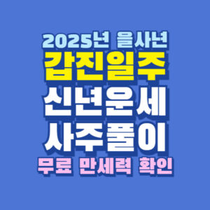 2025년 갑진일주 신년 운세 사주