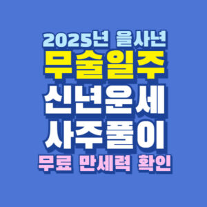 2025년 무술일주 신년 운세 사주