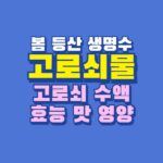 고로쇠물