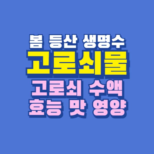 고로쇠물