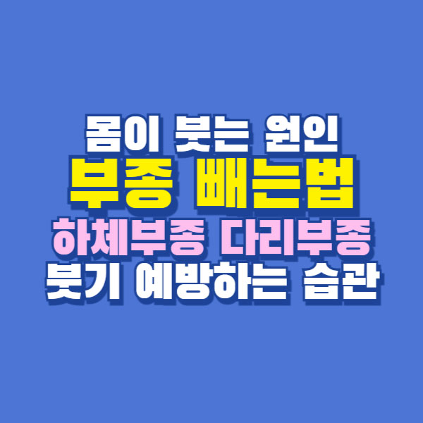 부종 빼기