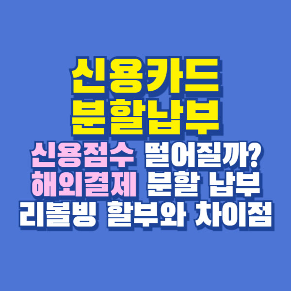 신용카드 분할납부