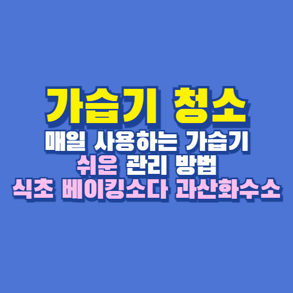 가습기 청소