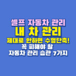 내 차 관리