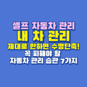 내 차 관리