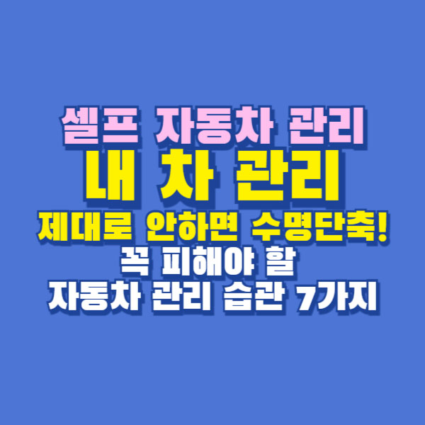 내 차 관리