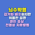 뇌수막염