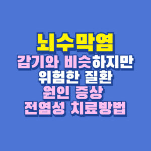 뇌수막염
