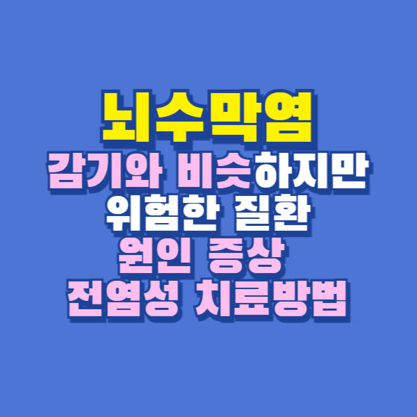 뇌수막염