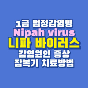 니파바이러스 증상