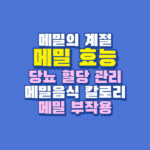메밀