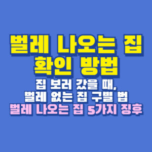 벌레 나오는 집